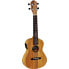 Фото #1 товара Ortega RFU11ZE Concert Ukulele Zebrawood with UK-3 Pickup