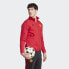 Фото #5 товара adidas men Manchester United Anthem Jacket