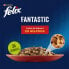 Фото #3 товара PURINA Felix Fantastic Meat Feast 85g Cat Snack 12 Units