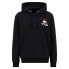 ALPHA INDUSTRIES Flying Buzz Sl hoodie