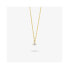 ფოტო #1 პროდუქტის RADIANT RY000073 necklace