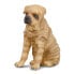 COLLECTA Shar Pei Figure