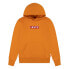 Фото #1 товара LEVI´S ® KIDS Boxtab Pullover hoodie
