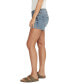 ფოტო #3 პროდუქტის Women's Britt Low Rise Curvy Fit Shorts