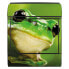 Фото #4 товара Briefkasten Stahl Frosch