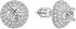 Фото #1 товара Серебряные серьги с цирконом AGUP1599S