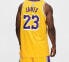 Фото #5 товара Майка баскетбольная Nike NBA LeBron James Icon Edition (SW 23) - Желтый