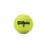 Фото #2 товара Теннисные мячи Wilson Championship XD (3 pcs)