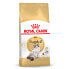 ფოტო #1 პროდუქტის ROYAL CANIN Ragdoll Poultry Adult 2kg Cat Food