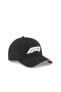 02540902 F1 BB Cap Siyah Unisex Şapka