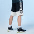 Фото #6 товара Шорты спортивные LI-NING BADFIVE Casual_Shorts 男款