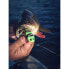 Фото #61 товара RAPALA BX Skitter Frog BXSF04 Floating Topwater Stickbait 45 mm 7.5g