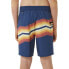 Фото #3 товара RIP CURL Inverted Swimming Shorts