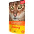 JOSERA Soup Chicken With Carrots & Spinach Wet Cat Food