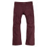 Фото #3 товара BURTON Cargo 2L Pants