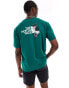 The North Face Expedition Stickers backprint oversized t-shirt in dark green exclusive to ASOS Зеленый, XL - фото #4