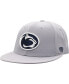 ფოტო #2 პროდუქტის Men's Gray Penn State Nittany Lions Fitted Hat
