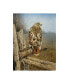 Фото #1 товара Картина холстная Trademark Global "Канюк полосатохвостый" rusty Frentner - 18" x 24"