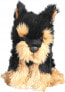 Dubi Morkie 30cm