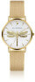 Фото #1 товара Часы и аксессуары Emily Westwood Классические часы Mesh Watch Matt White Dragonfly EGG-3418