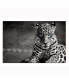 Фото #1 товара Spotted Leopard In And Acrylic Wall Art (32 H X 48 W)