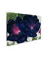 Фото #2 товара Georgia O'Keefe 'Black and Purple Petunias' Canvas Art - 19" x 14" x 2"