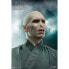 Фото #4 товара HARRY POTTER And The Deathly Hallows Lord Voldemort Figure