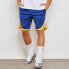 Nike NBA Icon Edition Swingman SW AJ5605-495 Basketball Pants
