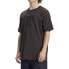 ფოტო #6 პროდუქტის DC Shoes Dcstar Pigment short sleeve T-shirt