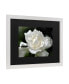 Фото #2 товара Исходное название товара: Trademark Global kurt Shaffer Lovely Gardenia Matted Framed Art - 20" x 25" Картина в раме Trademark Global kurt Shaffer Садовая гардения - 20" x 25"