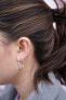 Silver earrings with Hoops DE625 diamonds