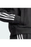 Future Icons 3-Stripes Full-Zip Kadın Sweatshirt