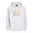 Фото #1 товара JACK & JONES Aruba Sunset Branding hoodie