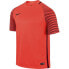 Фото #1 товара Goalkeeper jersey Nike Gardien M 725889-671