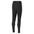 [656528-01] Mens Puma Ftblnxt Pro Pant