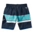 O´NEILL Stacked Plus Swimming Shorts