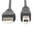 DIGITUS USB To B 2.0 cable 3 m