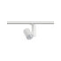 Фото #5 товара PAULMANN Zeuz 60° - Rail lighting spot - 1 bulb(s) - LED - 33 W - 3000 K - White