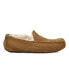 Slippers UGG Ascot 01110W-CHE Chestnut