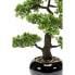 Фото #5 товара Искусственные цветы Emerald Bonsai Ficus "Бонсай фикус" 47 см