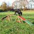 Фото #1 товара Trixie Kładka dla psów 'Dog Activity Agility , 456 × 64 × 30 cm