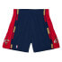 Фото #1 товара Mens Mitchell & Ness NBA AUTHENTIC SHORTS - CLEVELAND CAVALIERS 08