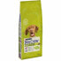 Фото #1 товара Фураж Purina DOG CHOW Adult Для взрослых Мясо ягненка 14 Kg