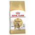 Фото #1 товара ROYAL CANIN Bengal Adult Poultry And Vegetables 10kg Cat Food