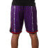 Фото #4 товара Брюки баскетбольные Mitchell & Ness MN SW 98-99 SMSHGS18255-TRAPURP98