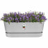 Ящик для цветов elho Planter Grey 50 cm Plastic