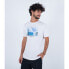 ფოტო #3 პროდუქტის HURLEY Everyday Kai Lenny short sleeve T-shirt