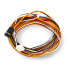 Фото #1 товара SM-XD cable for Antclabs BLTouch sensor - 1,5m