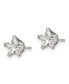 ფოტო #3 პროდუქტის Stainless Steel Polished Star CZ Stud Earrings