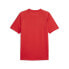 Puma Chg Prematch Crew Neck Short Sleeve Soccer Jersey Mens Red 77362001